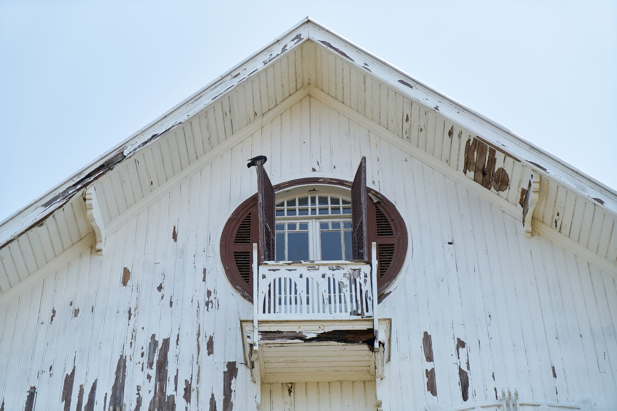 How Termite Damage Can Affect Teaneck Homes