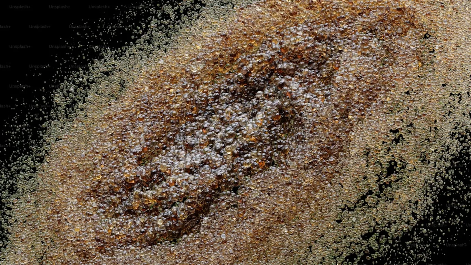 Effective Mites Control Services